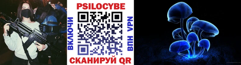 Купить  Обоянь  Псилоцибиновые грибы MAGIC MUSHROOMS 